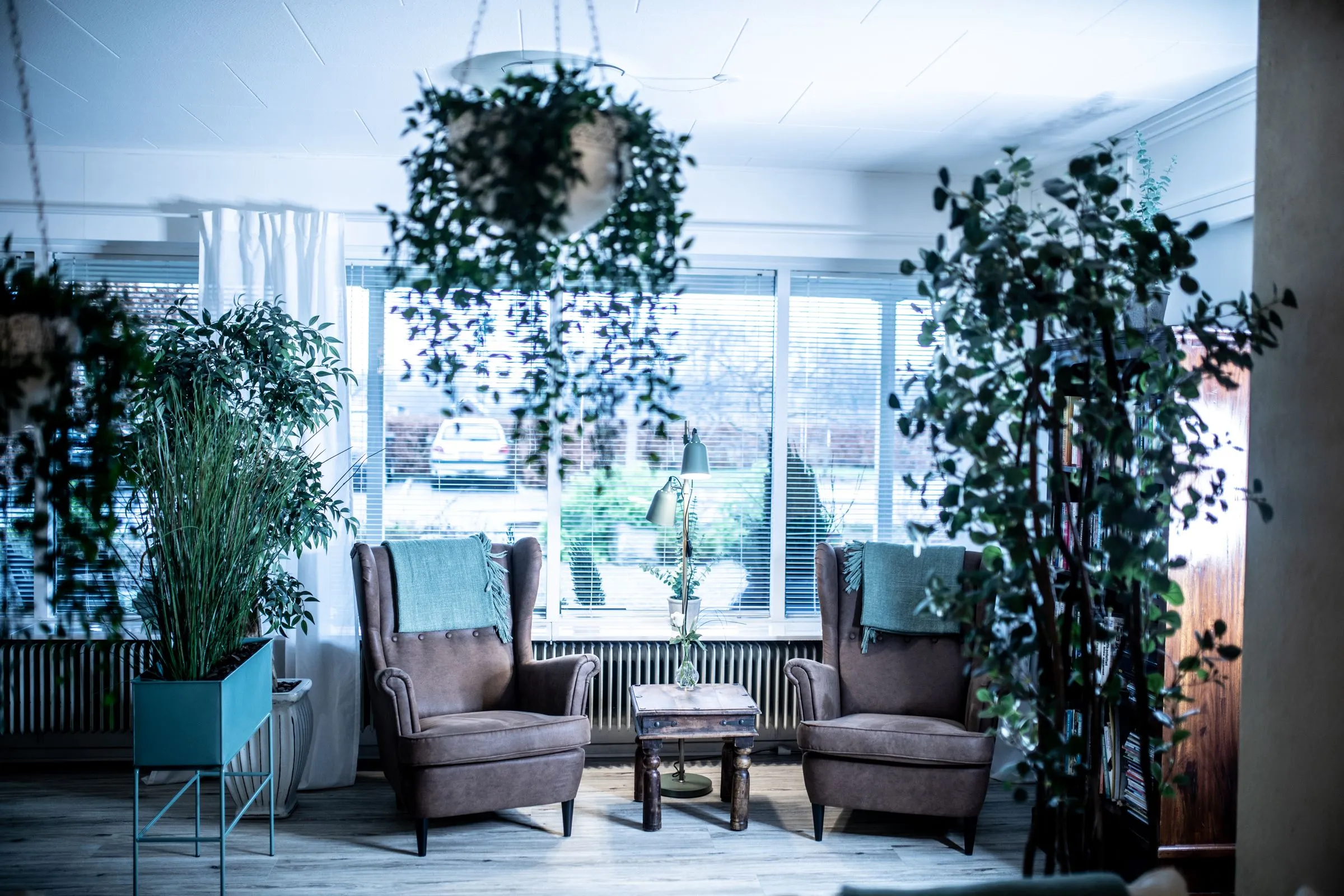 A bright therapy room with two armchairs, a low table and plenty of hanging plants.